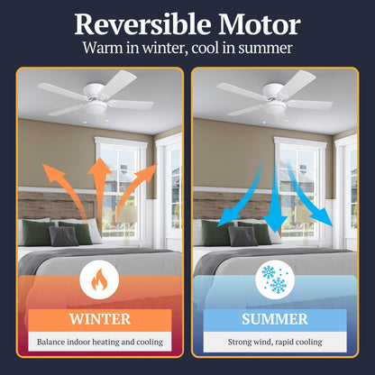 Ventilateur de plafond intérieur traditionnel Prominence Home Benton 52 avec éclairage LED et chaînettes