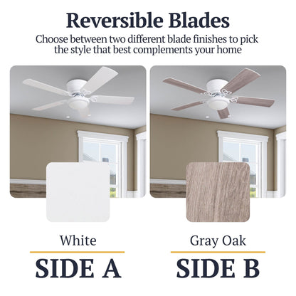 Ventilateur de plafond intérieur traditionnel Prominence Home Benton 52 avec éclairage LED et chaînettes