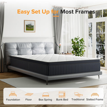 Matelas à ressorts ensachés SweDrea de 30 cm (12 po) à fermeté moyenne, conçu pour soulager les douleurs dorsales et procurer une sensation de fraîcheur. Certifié CertiPUR-US, SGS et OEKO-TEX.