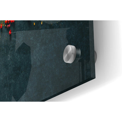 Epic Art « Épices colorées », œuvre d'art murale en verre acrylique