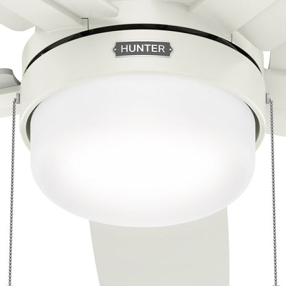 Ventilateur de plafond Hunter 52 Anisten à profil bas avec éclairage LED et chaînette - Style moderne, contemporain et transitionnel
