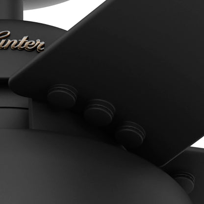 Ventilateur de plafond Hunter 52 Autumn Breeze II pour intérieur/extérieur avec éclairage LED et télécommande - Style industriel, transitionnel, moderne, cage