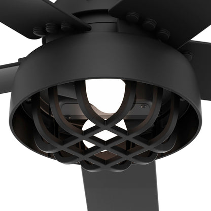 Ventilateur de plafond Hunter 52 Autumn Breeze II pour intérieur/extérieur avec éclairage LED et télécommande - Style industriel, transitionnel, moderne, cage