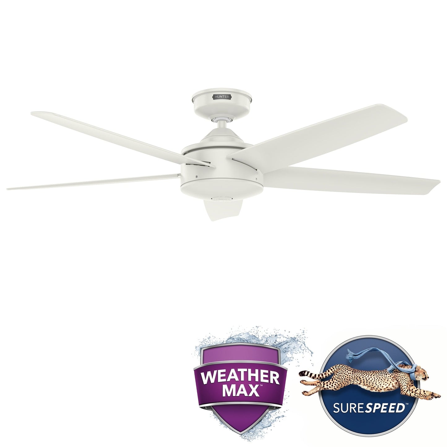 Ventilateur de plafond intérieur/extérieur Hunter 52 Shorebreak WeatherMax avec commande murale - Résistant aux intempéries extrêmes, au sel et à la corrosion
