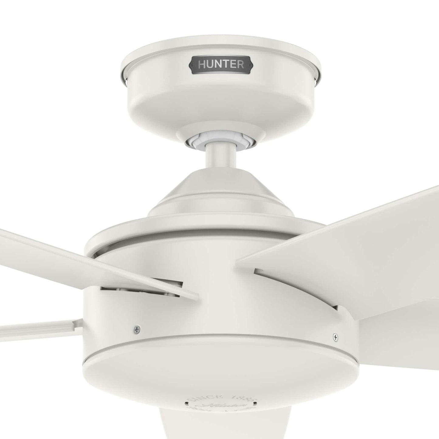 Ventilateur de plafond intérieur/extérieur Hunter 52 Shorebreak WeatherMax avec commande murale - Résistant aux intempéries extrêmes, au sel et à la corrosion