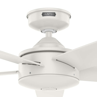 Ventilateur de plafond intérieur/extérieur Hunter 52 Shorebreak WeatherMax avec commande murale - Résistant aux intempéries extrêmes, au sel et à la corrosion