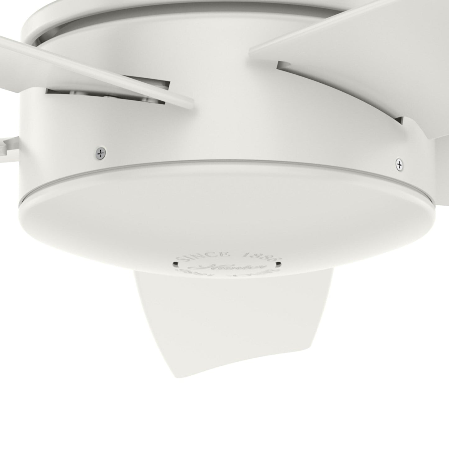 Ventilateur de plafond intérieur/extérieur Hunter 52 Shorebreak WeatherMax avec commande murale - Résistant aux intempéries extrêmes, au sel et à la corrosion
