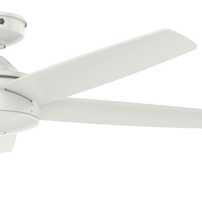 Ventilateur de plafond intérieur/extérieur Hunter 52 Shorebreak WeatherMax avec commande murale - Résistant aux intempéries extrêmes, au sel et à la corrosion