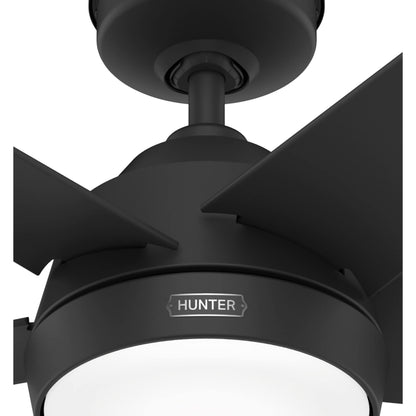 Ventilateur de plafond extérieur Hunter 52 Skyflow avec kit d'éclairage LED, commande murale - Style côtier moderne contemporain - WeatherMax - RÉSISTANT À L'EAU !