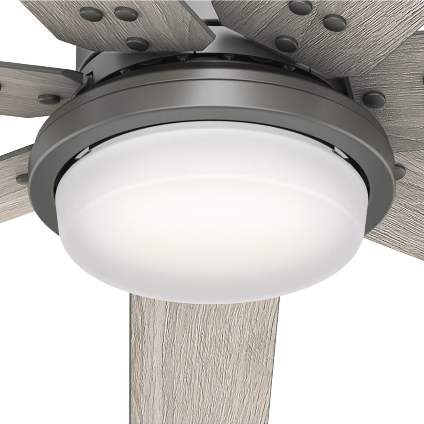 Ventilateur de plafond Hunter WiFi Whittington avec lumière LED, télécommande portable - Moulin à vent - Style industriel, campagnard, rustique - VENTILATEUR INTELLIGENT !