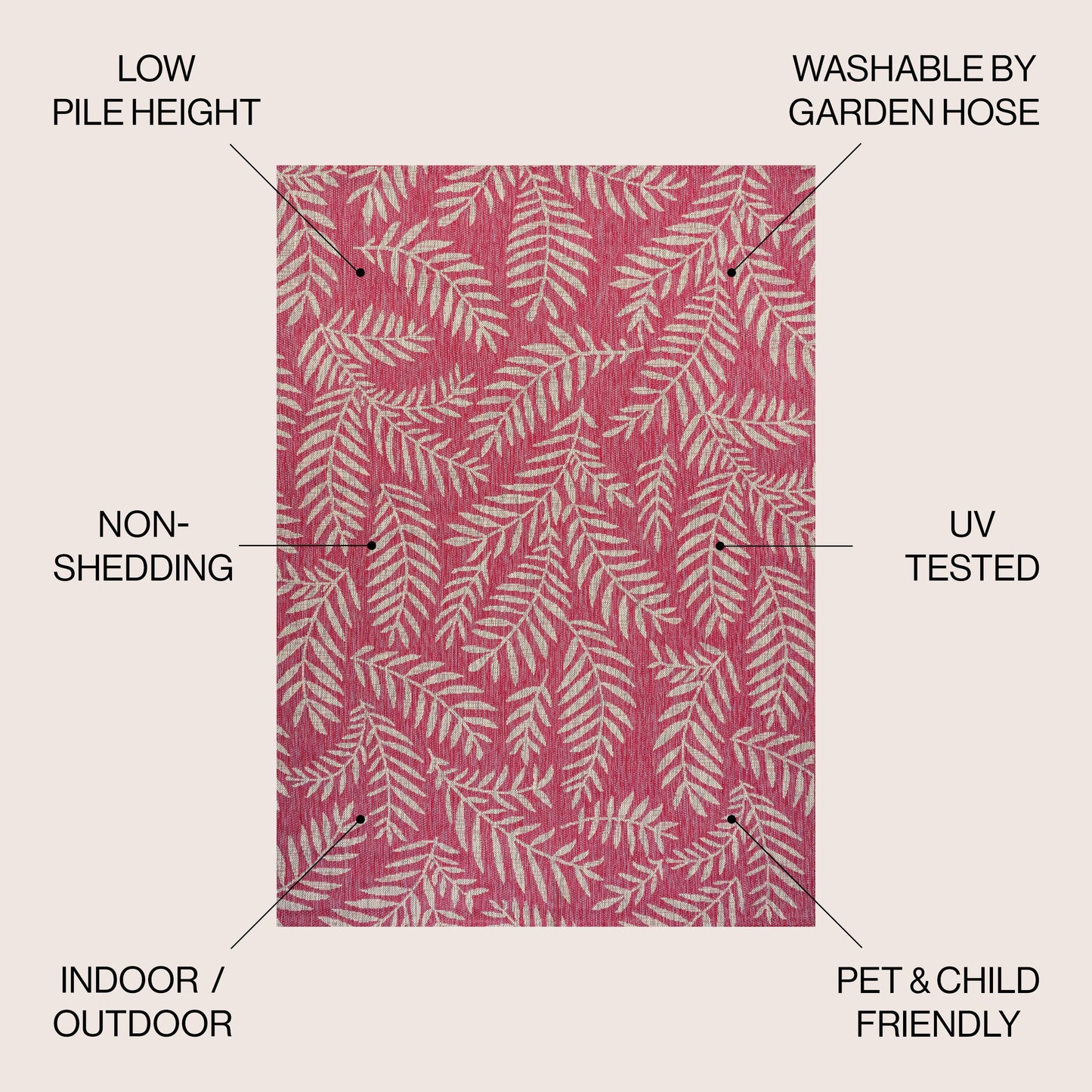 JONATHAN Y Tapis intérieur/extérieur à fronde de palmier Galon