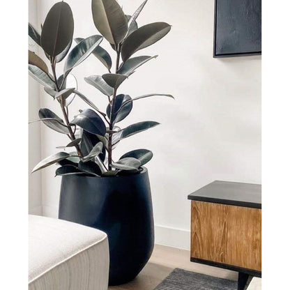 Jardinière conique en fibre de pierre DreamPatio La Mirada (1 pièce) pour intérieur/extérieur