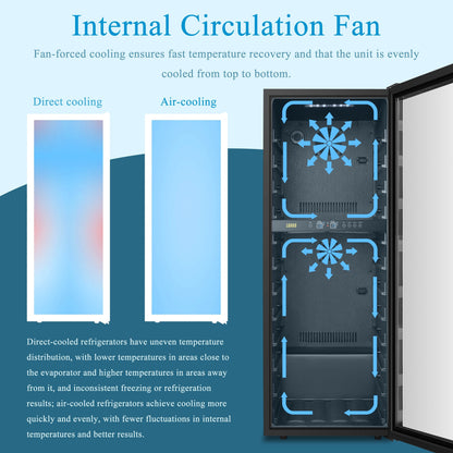 Cave à vin Lanbo 20 pouces, 64 bouteilles, double zone, pose libre, porte vitrée avec garniture en acier inoxydable et deux verrous de sécurité