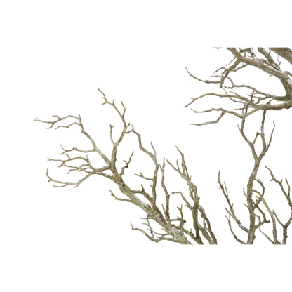 Arbre mort à 96 brindilles