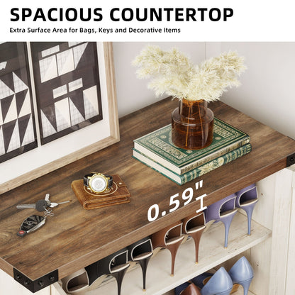 Meuble à chaussures Moasis à 5 niveaux et 20 paires avec double porte pour entrée