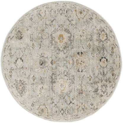 Tapis d'intérieur persan Nourison Oushak Home