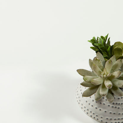 Commode double à 6 tiroirs Porch &amp; Den Zoe