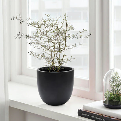 Pot de fleurs conique rond en oxyde de magnésium (MgO), pour intérieur et extérieur