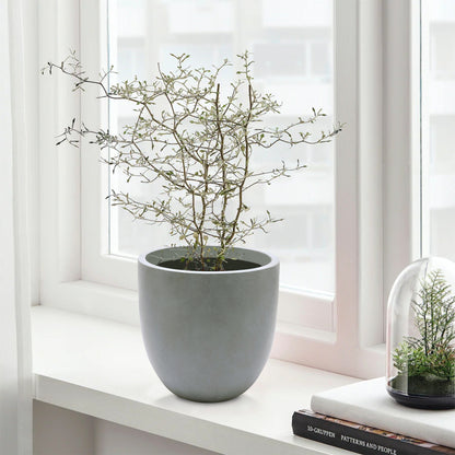 Pot de fleurs conique rond en oxyde de magnésium (MgO), pour intérieur et extérieur
