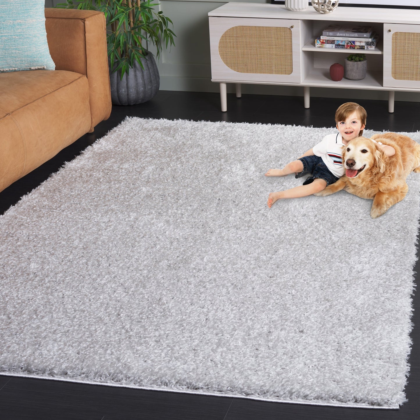 Tapis contemporain SAFAVIEH Lindsay Shag Luann