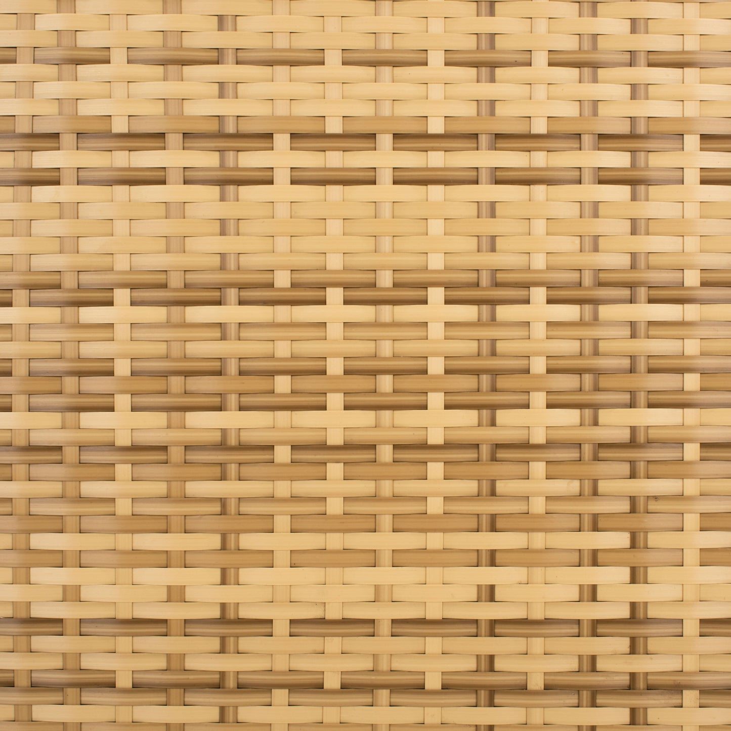 Ensemble de bain de soleil 3 pièces SAFAVIEH Outdoor Blaguna - 83 cm (L) x 20 cm (P) x 24 cm (H)