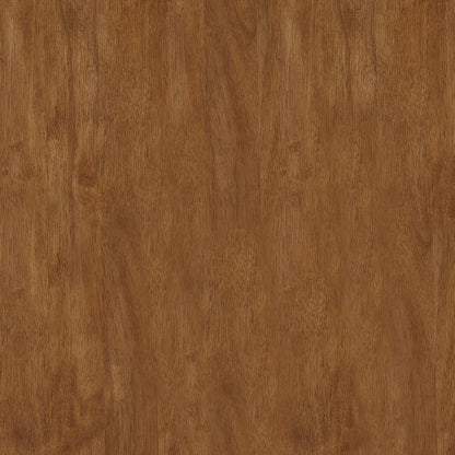 Tabourets de bar sans dossier Salvador II (lot de 2) par iNSPIRE Q Classic