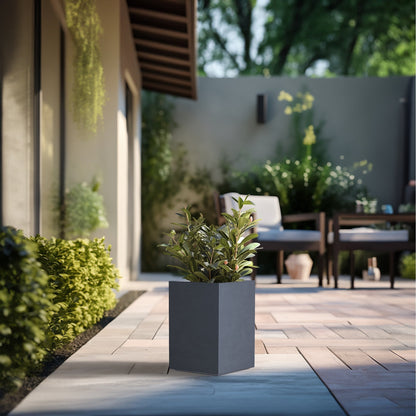 Jardinières rectangulaires hautes en béton / Grands bacs à fleurs d'intérieur et d'extérieur