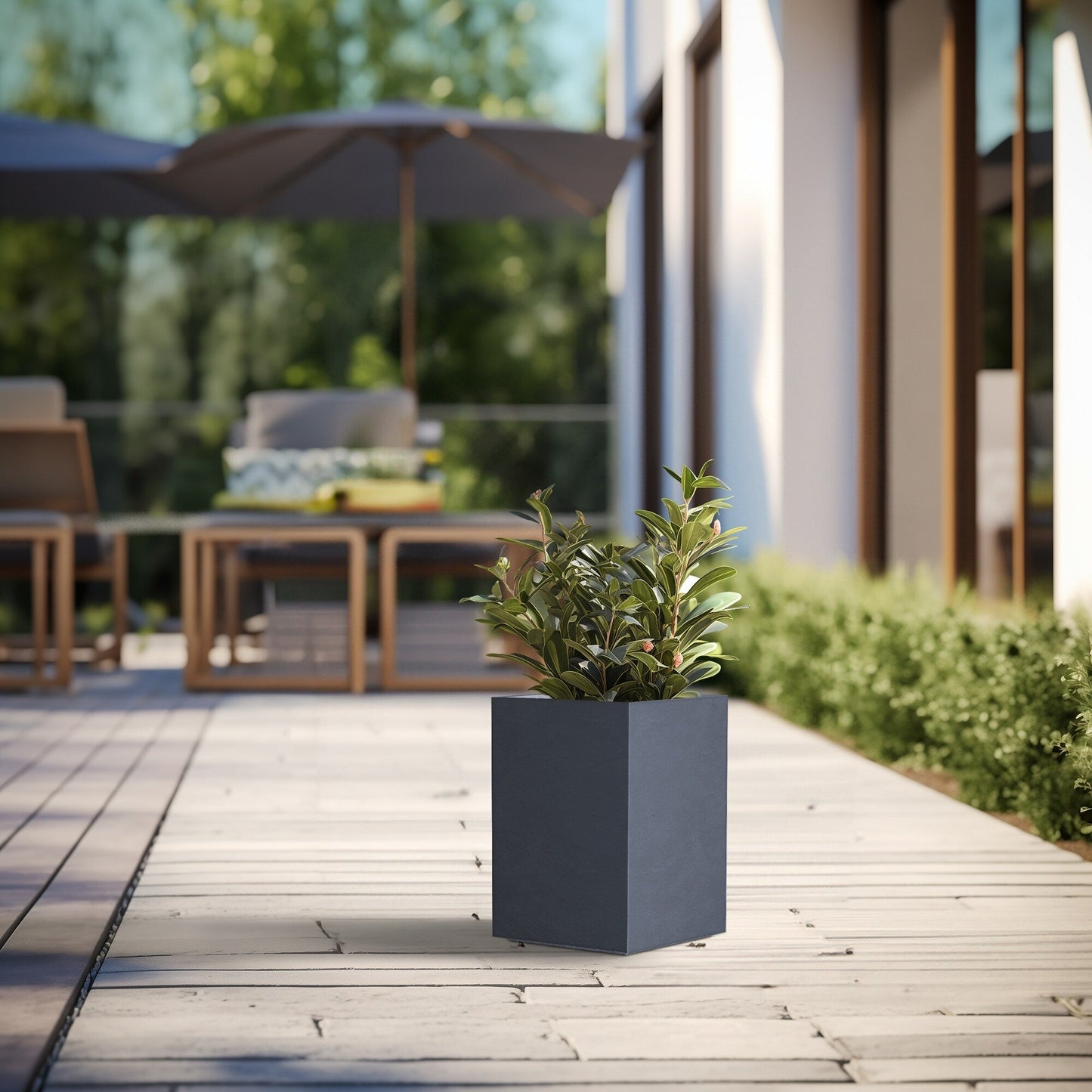 Jardinières rectangulaires hautes en béton / Grands bacs à fleurs d'intérieur et d'extérieur