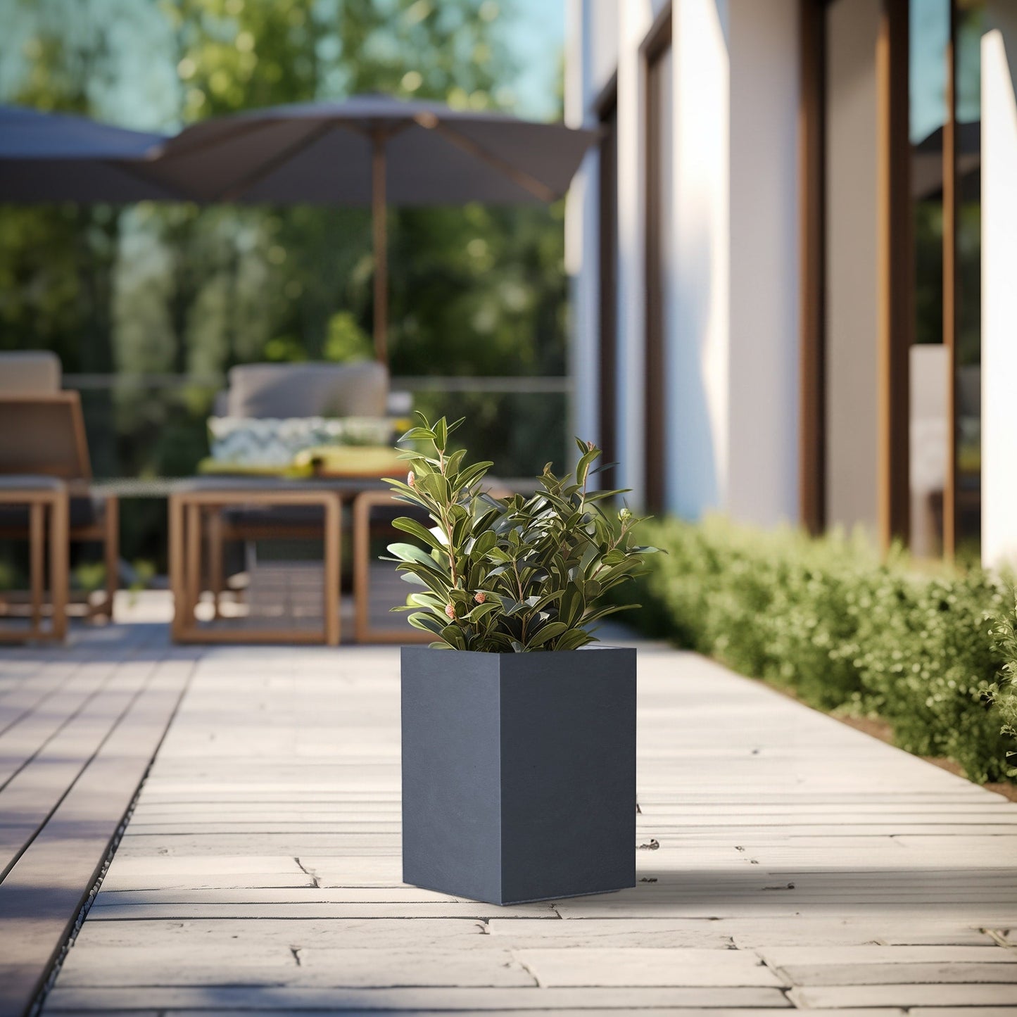 Jardinières rectangulaires hautes en béton / Grands bacs à fleurs d'intérieur et d'extérieur