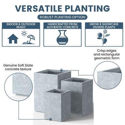 Jardinières rectangulaires hautes en béton / Grands bacs à fleurs d'intérieur et d'extérieur