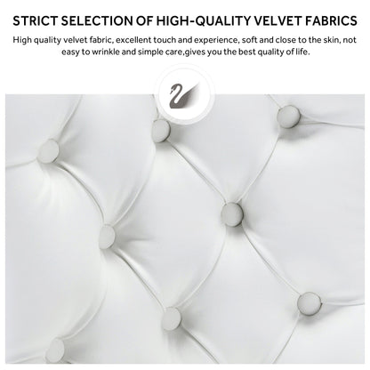 Ensemble de 6 chaises de salle à manger capitonnées en velours avec pieds en bois massif