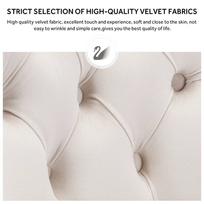 Ensemble de 6 chaises de salle à manger capitonnées en velours avec pieds en bois massif