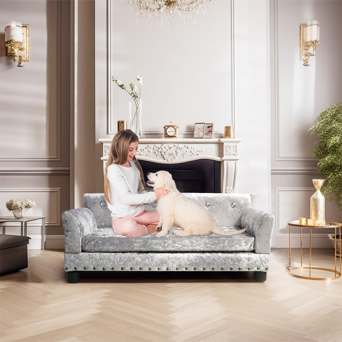 Lit pour animaux de compagnie en velours capitonné avec coussin amovible