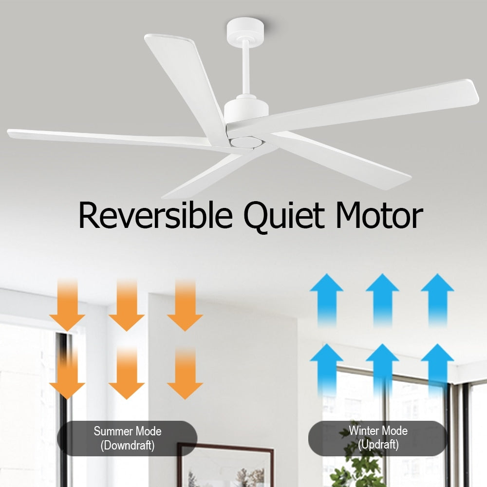 Ventilateur de plafond intérieur WINGBO 54 pouces à moteur CC sans éclairage - Non disponible