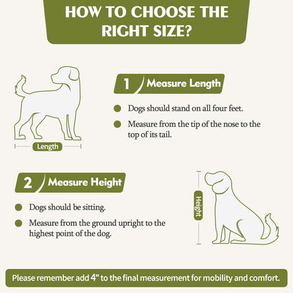 Cage double en bois pour chien avec 2 tiroirs et séparateur