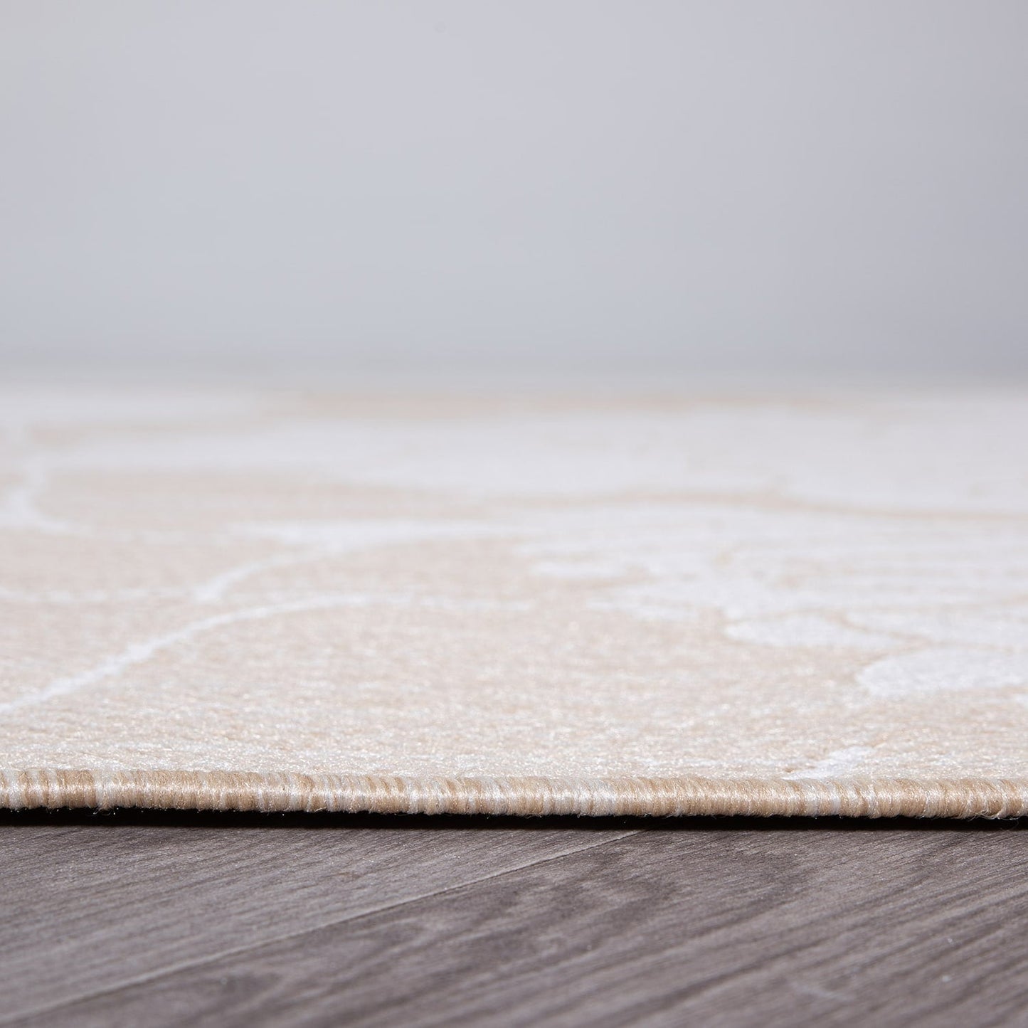 Tapis d'intérieur/extérieur moderne à motif floral texturé World Rug Gallery